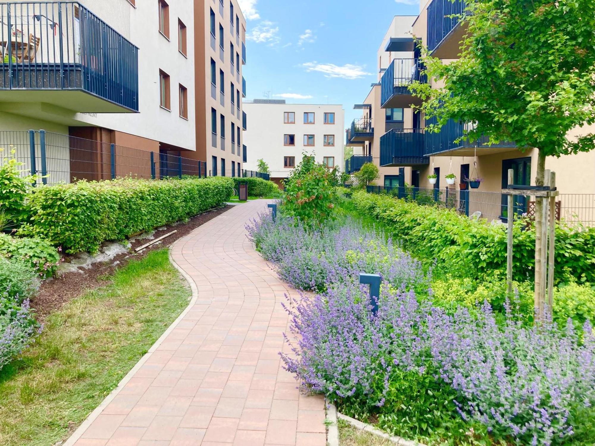 Apartament Lagiewniki — Zdjęcia 3